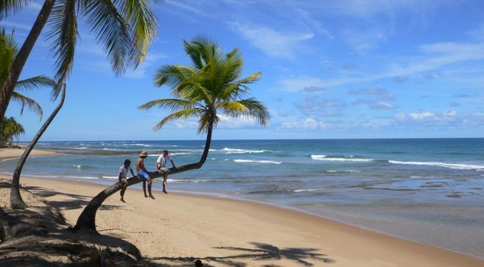 Long Thuy Beach – An Open Coastal Landscape with Local Life