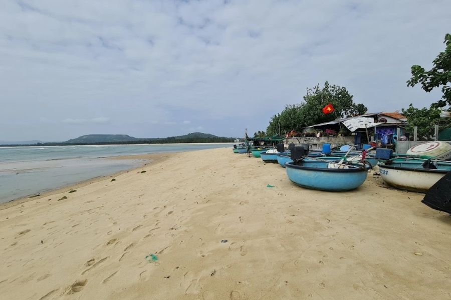 Seaweed Harvesting, Shell Picking & Crab Catching – A Coastal Hands-on Experience